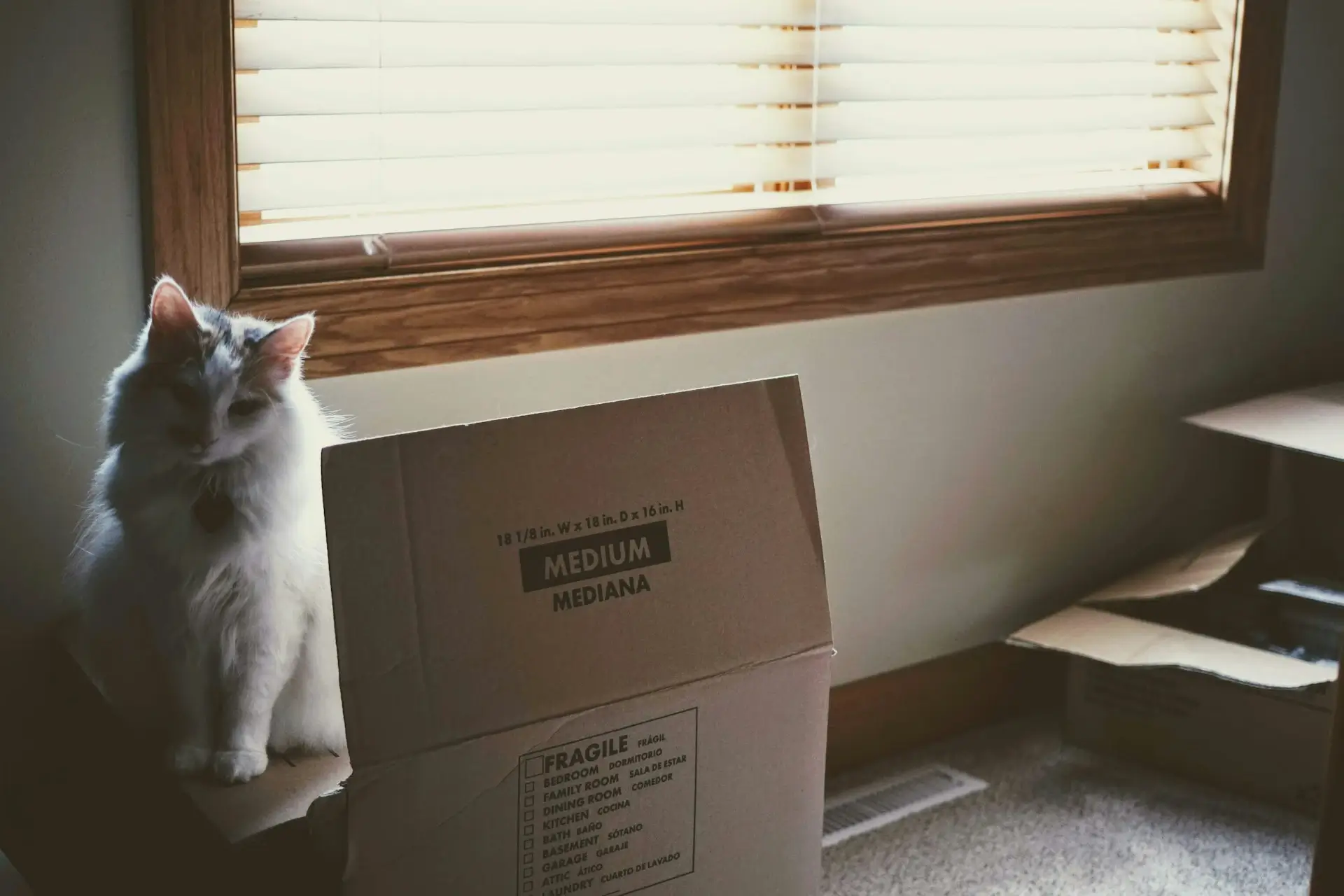 Choose a workable moving date in L’Île-Bizard